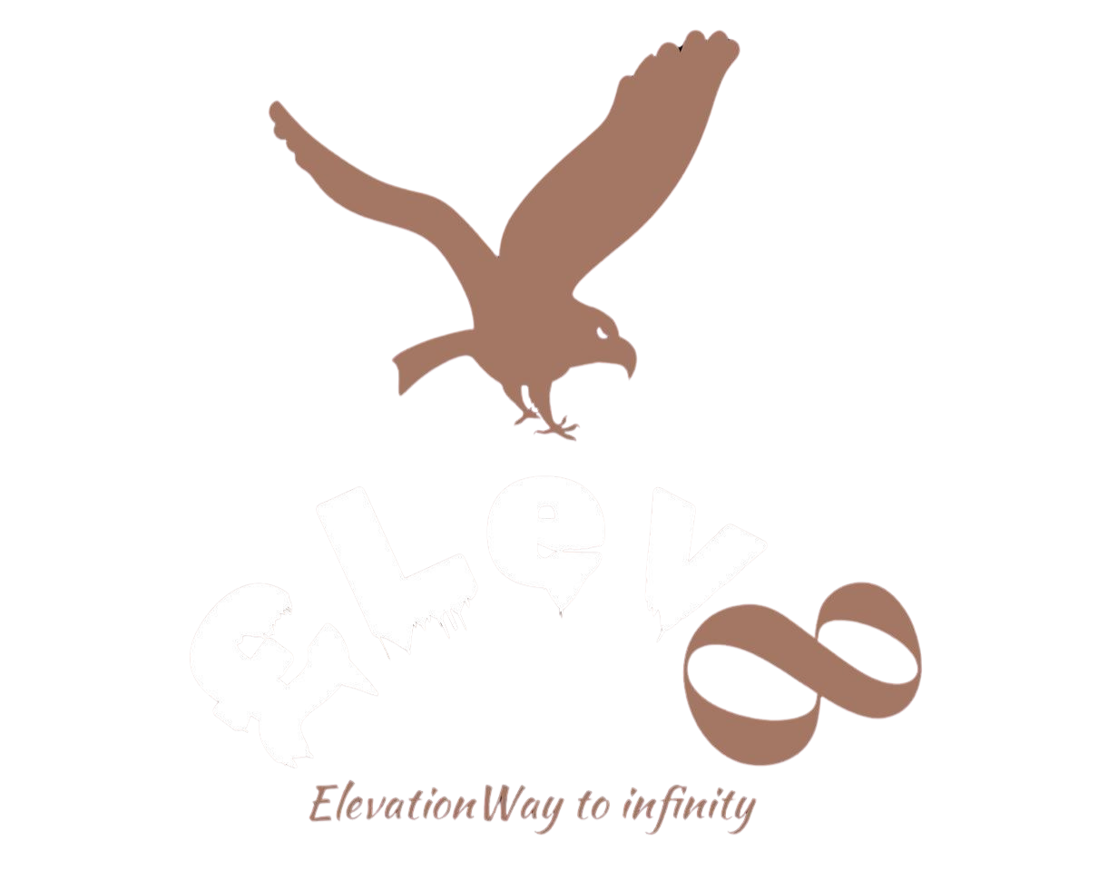 Elev8
